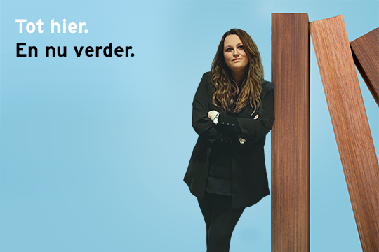 Flanderijn campagne