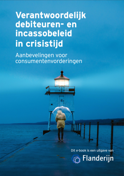 E-book: Verantwoordelijk beleid in crisistijd, Flanderijn